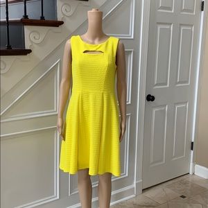 NWOT! FINAL PRICE Sandra Darren dress sz10